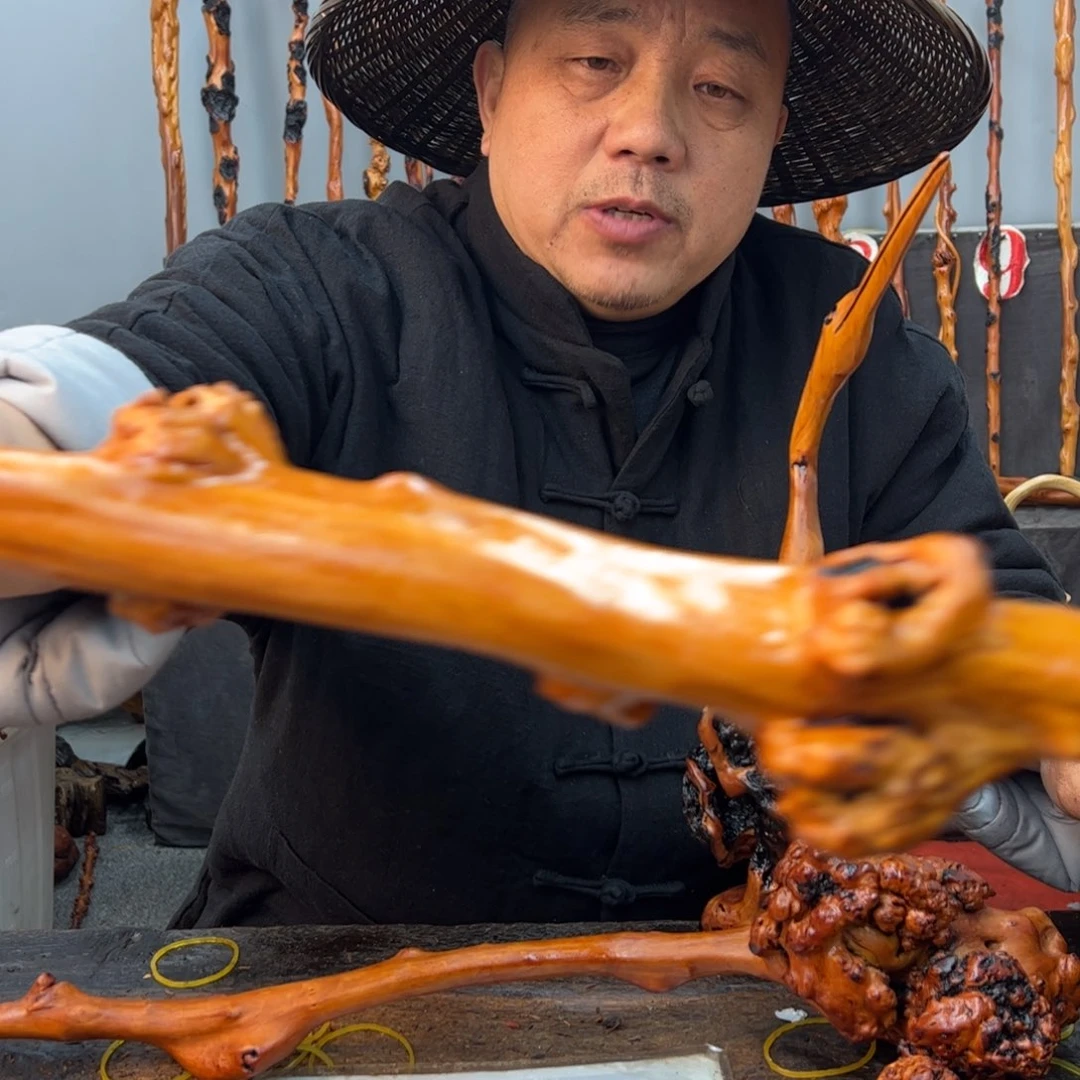 黑果木其他胖*黑果木339