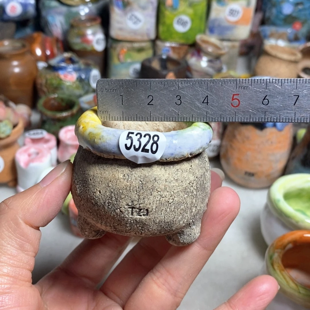 拍3送一个小礼物