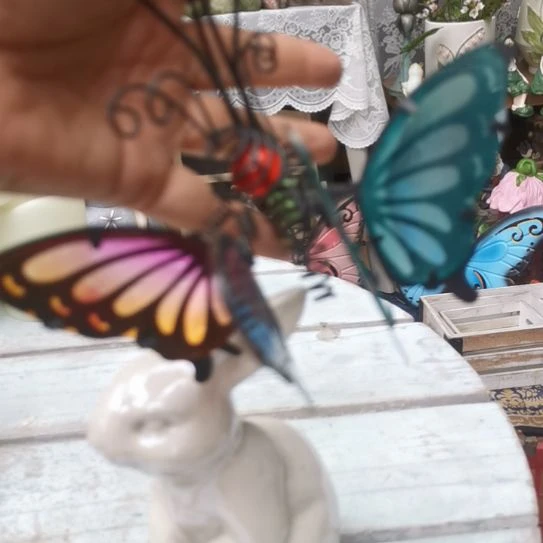 安***儿28包邮，花盆孤品，默认微瑕