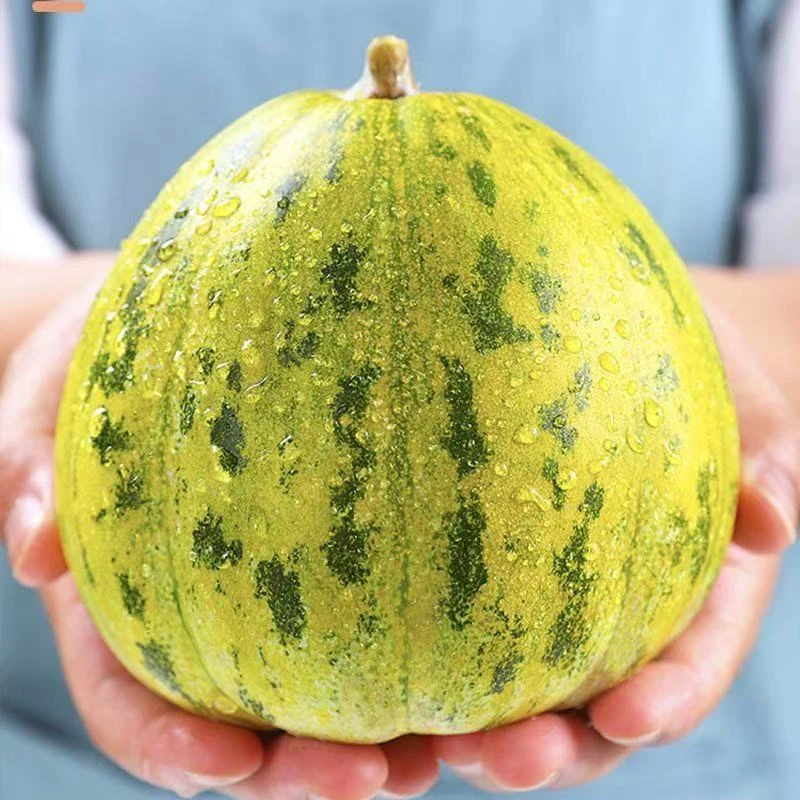 【脆甜多汁】花美人甜瓜花姑娘香瓜甜瓜脆甜多汁应季水果花蕾新鲜