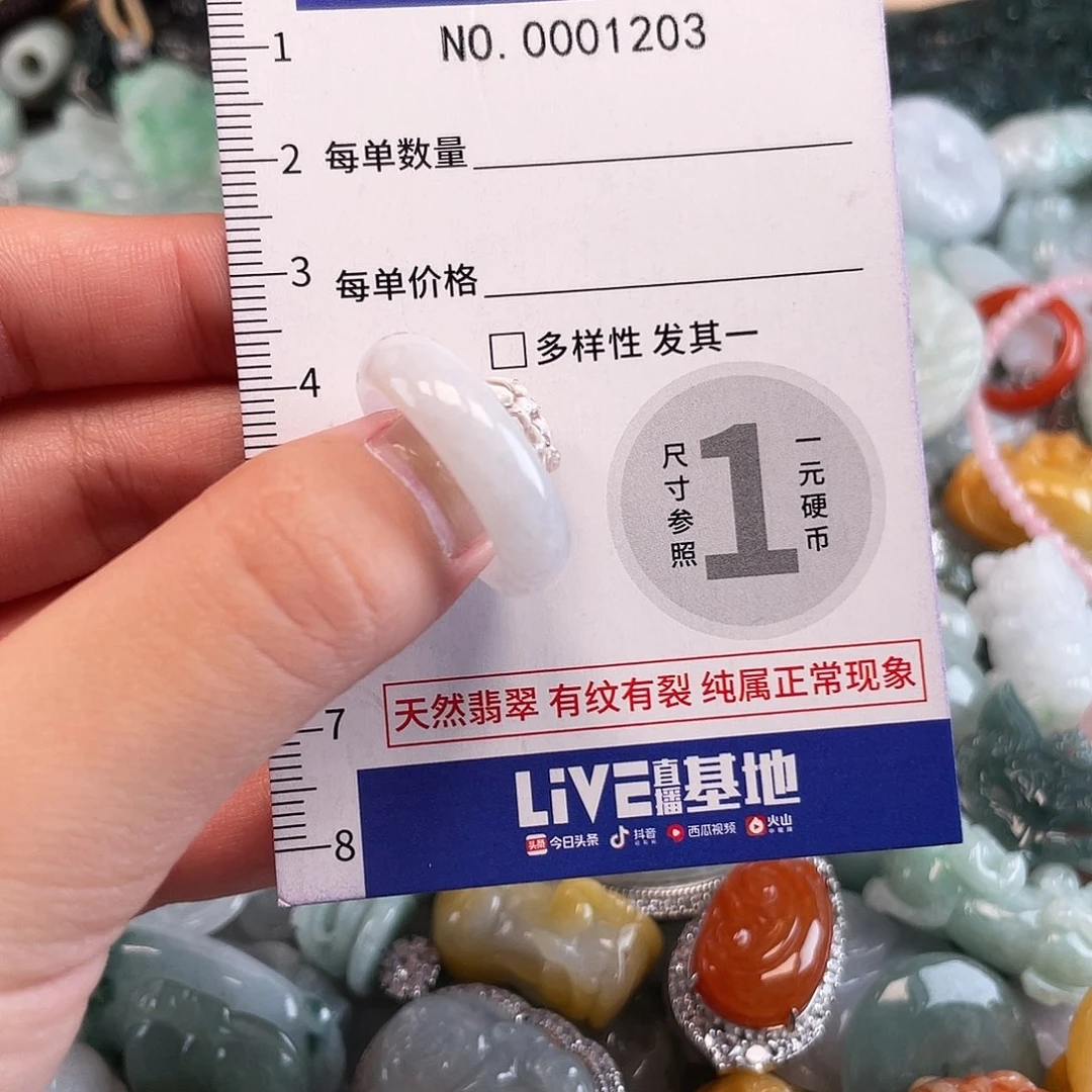 翡翠未镶嵌颈饰1203