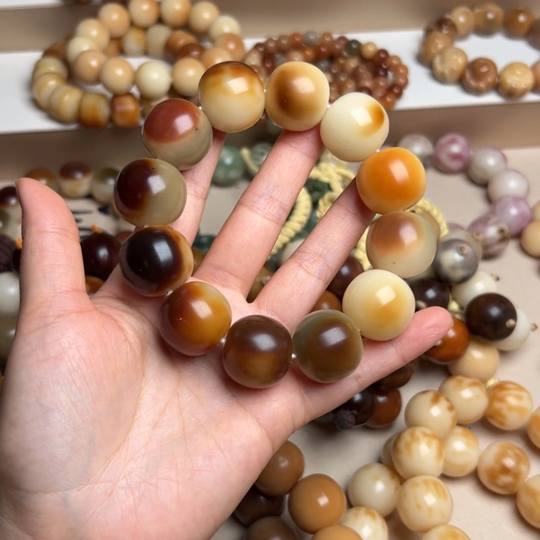 吊坠菩提根/象牙果卡22干磨微瑕