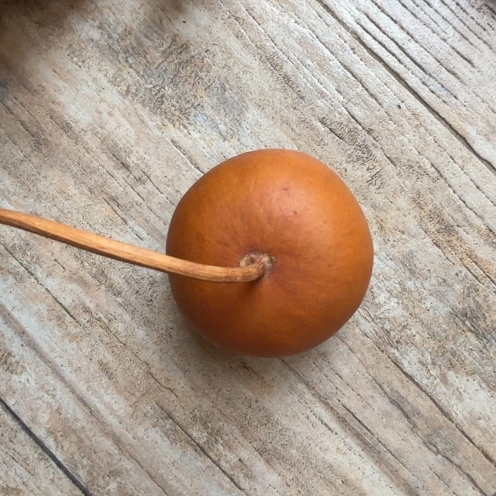 蓝***纸蓝色糖纸的一把苹果葫芦