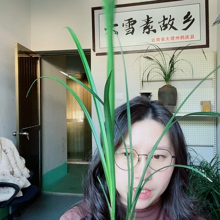 完全开放大雪素大雪素