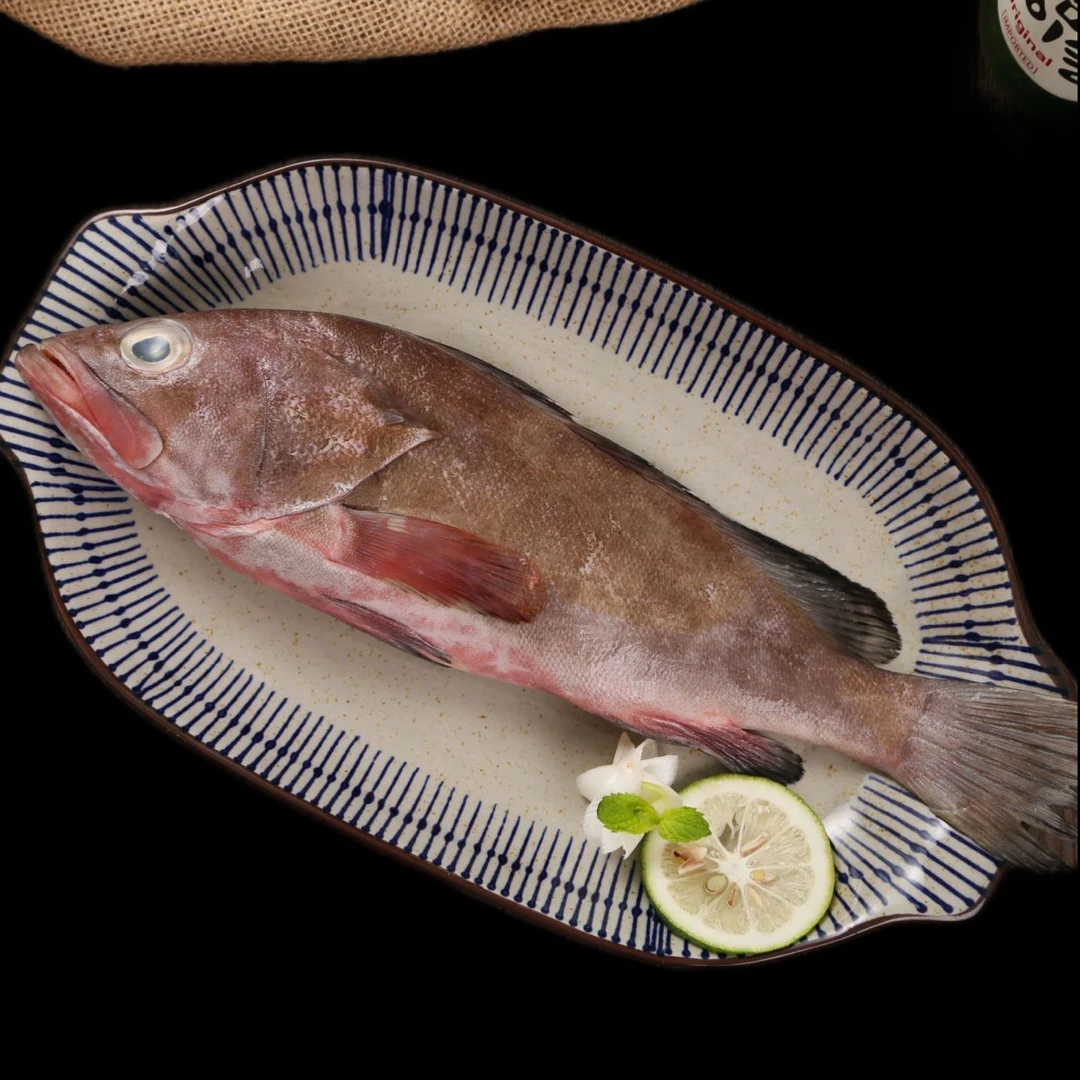 【浅海石斑鱼】惠来神泉港野生海钓石斑鱼过鱼油斑【5盒】肉质鲜嫩弹