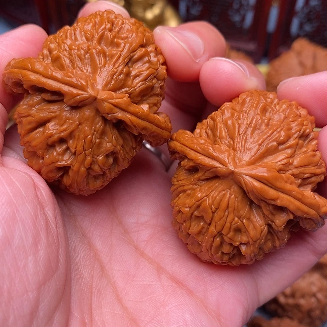 文玩核桃把件全品毕业白狮子42尺