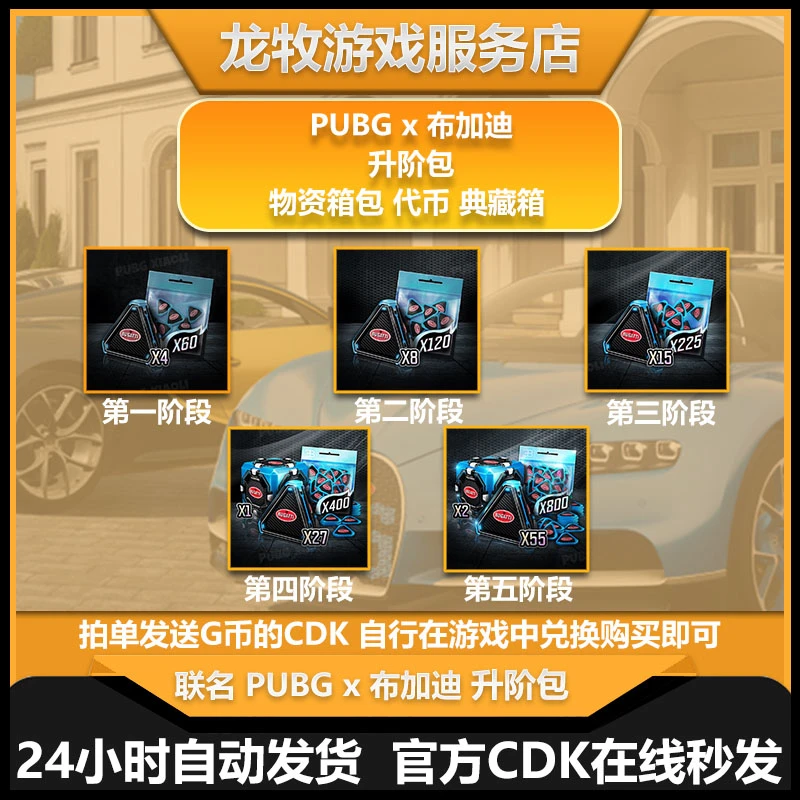 PUBG绝地求生布加迪升阶包典藏箱CDK兑换码steam游戏【G币包】