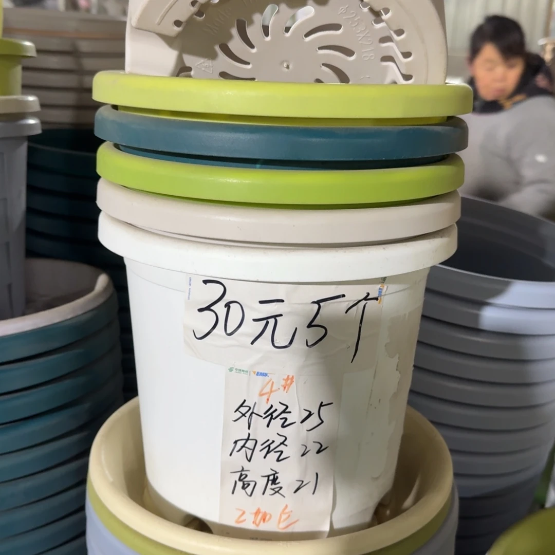 四季4#口径25无拖果绿8个