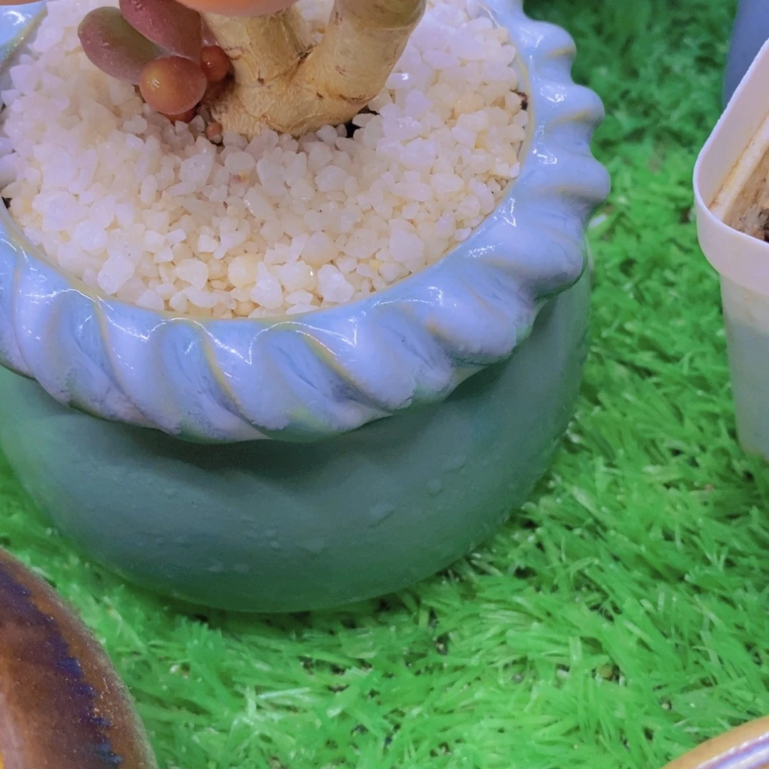 l***y开心多肉植物多肉