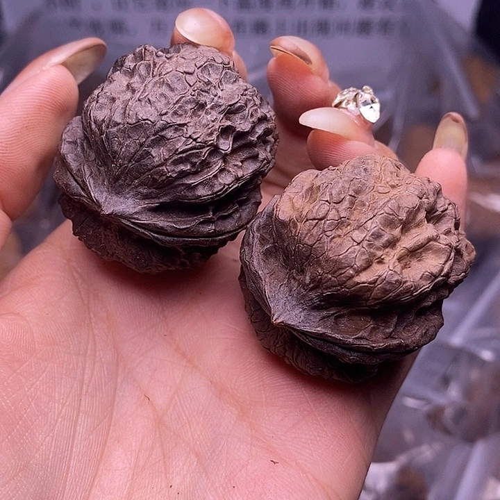 核桃云南野生铁核桃99号40mm