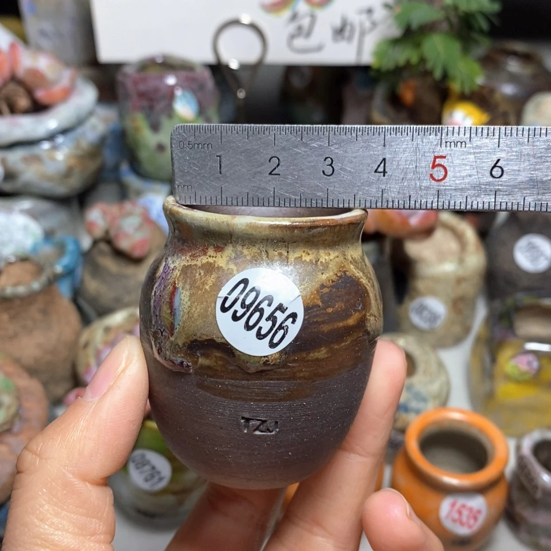 花盆拍5送一个小礼物