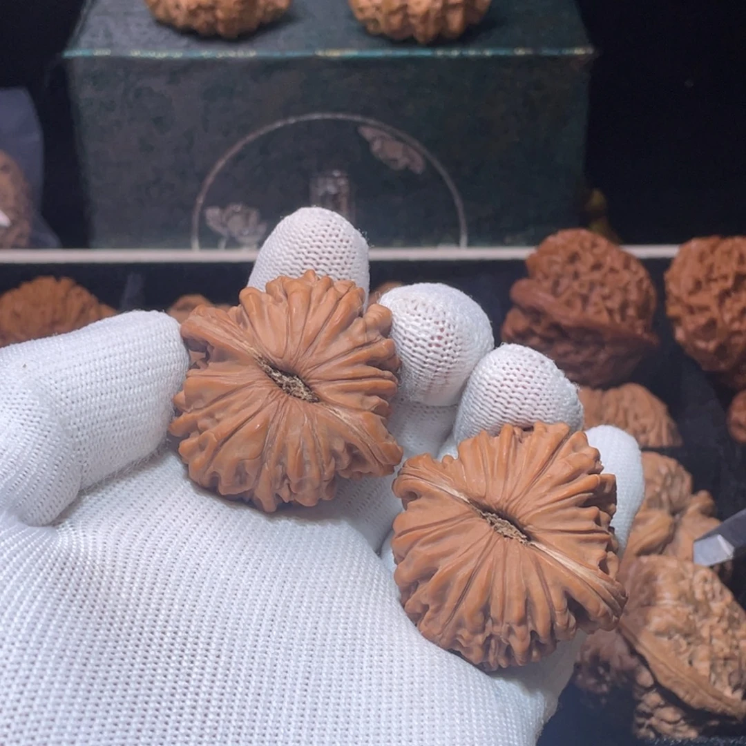 龙***O核桃42全品无修四座楼