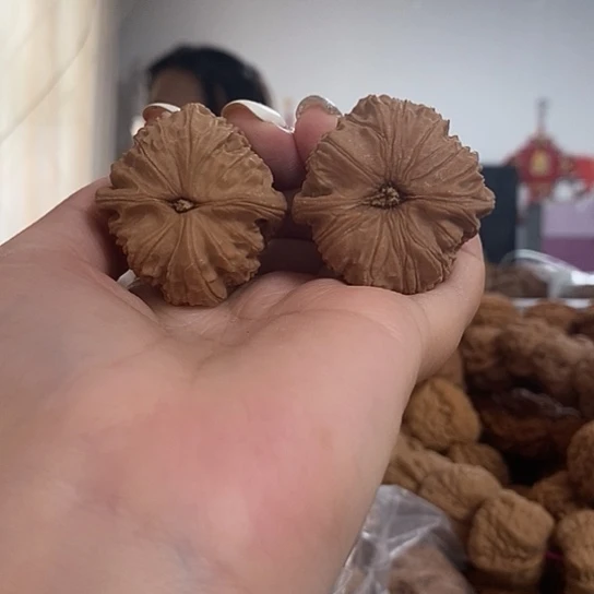 文玩核桃吊坠39白狮子