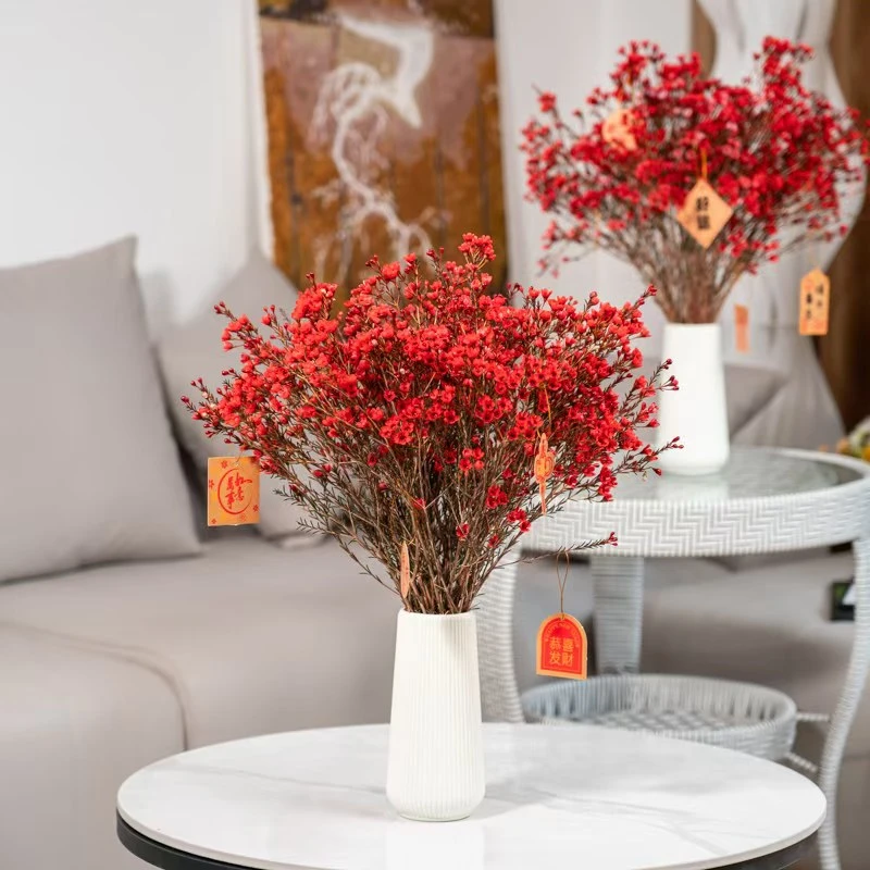 澳洲腊梅精选年宵花水养插花鲜切花云南基地直发南絮