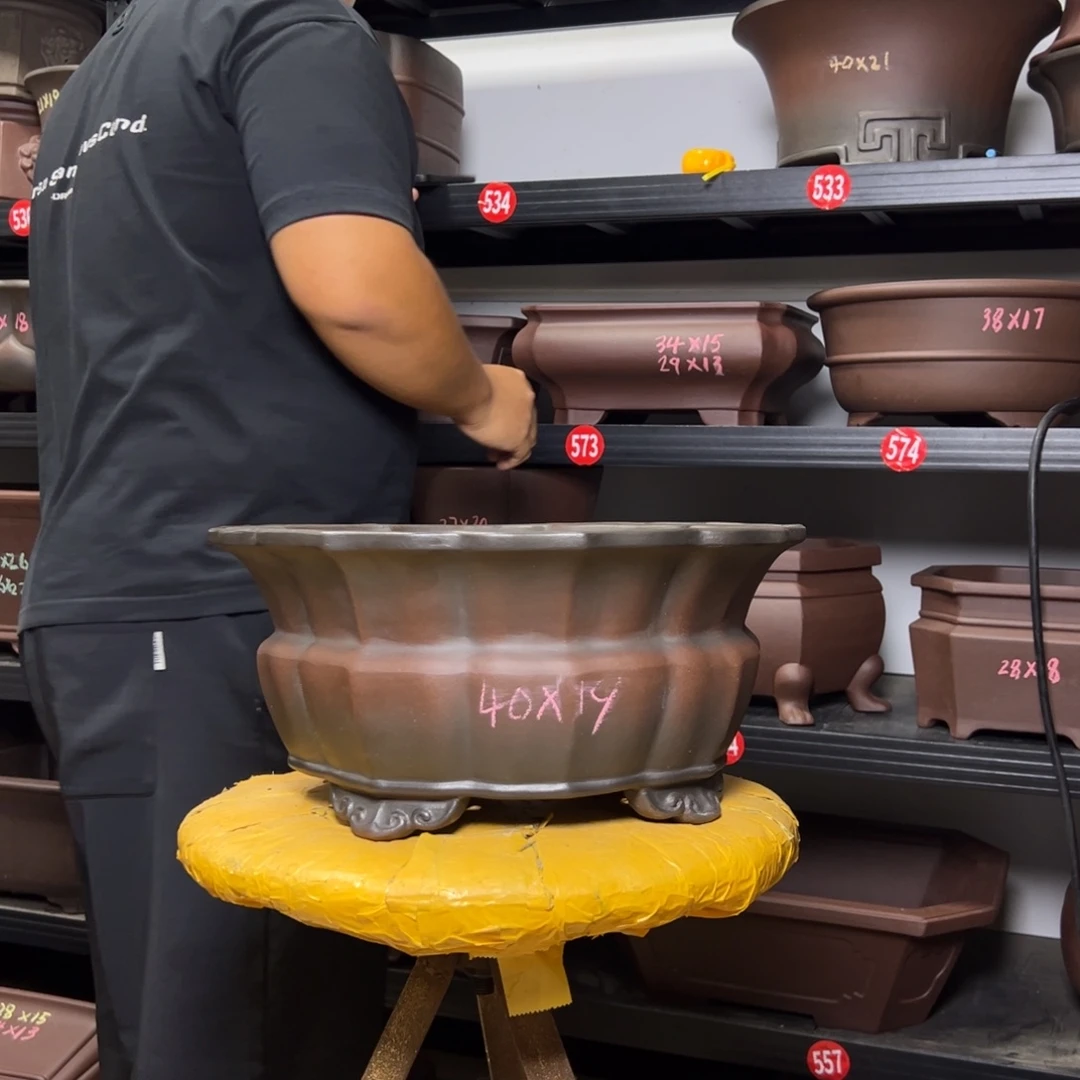 浪***涯紫砂其他呜呜呜呜呜我