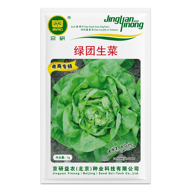 【农科院】京研生菜种子大全莴苣紫叶生四季蔬菜籽四季阳台盆栽