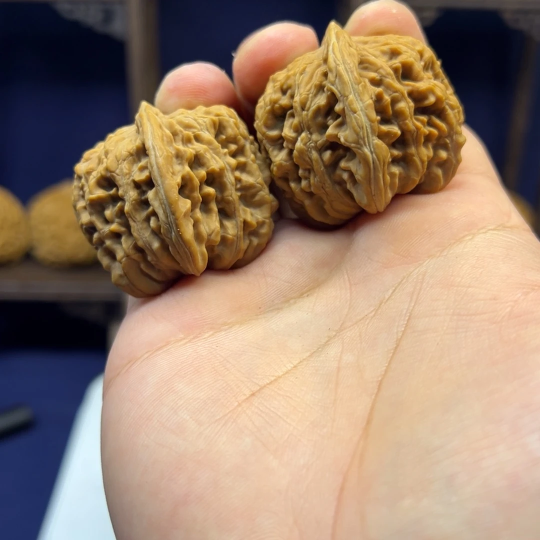 全品40精配四座楼