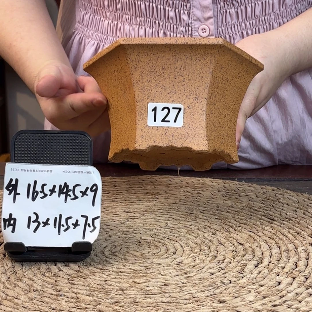 花盆紫砂  柴烧花角六方127