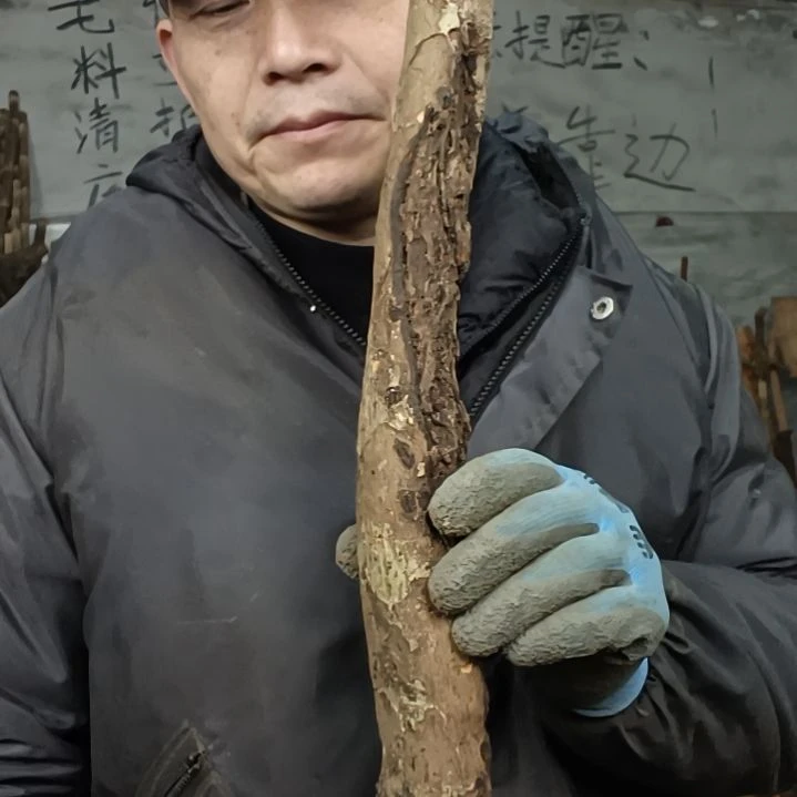 稳定木浮**梦贵州檬子木   铁马鞭   根艺  半成品