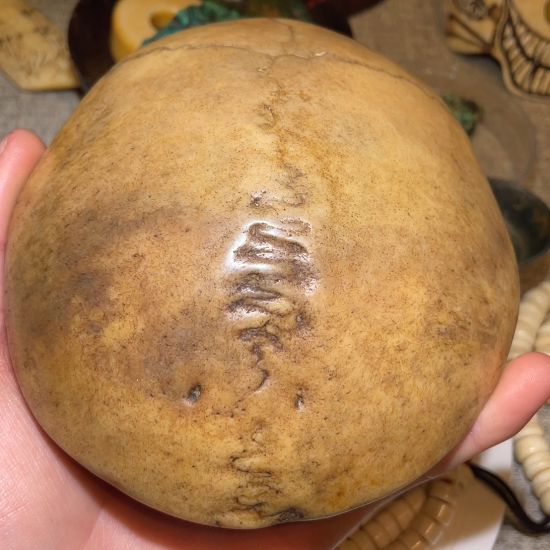 手串/手链鹿骨摆件