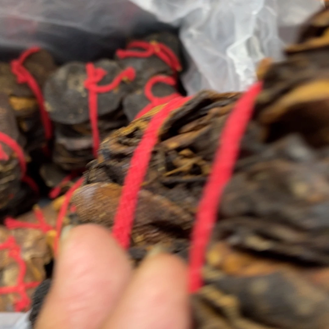 陶瓷，陶瓷，陶瓷……陶瓷