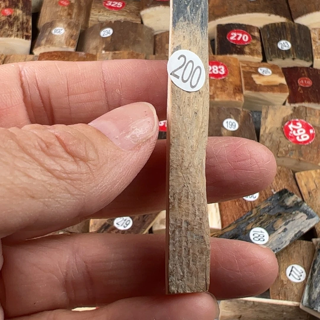 泥塑猛犸制品有限公司