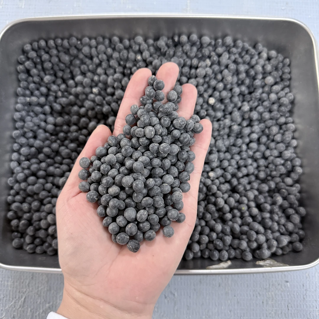 黑豆 绿肉 黑豆 煲汤 煮水