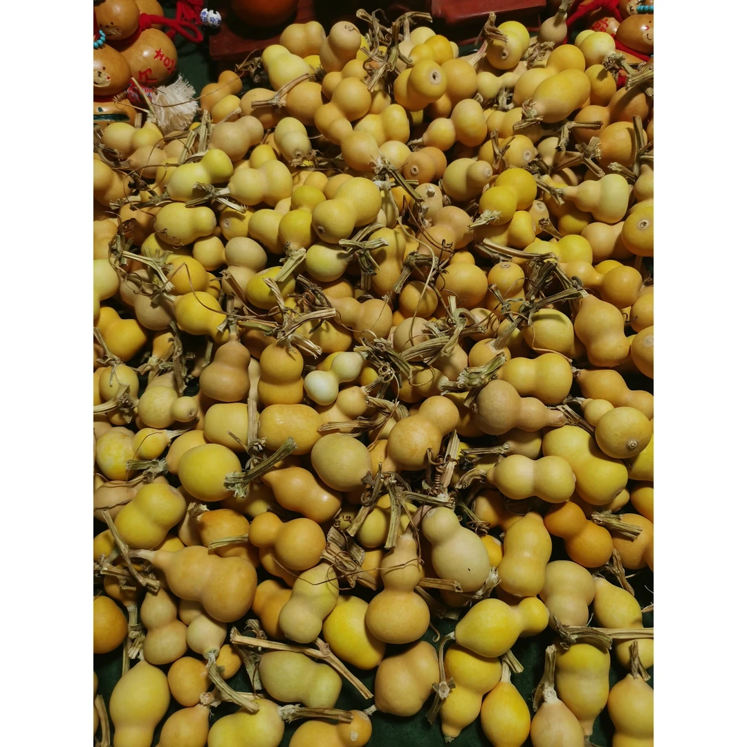 天然带龙头小葫芦手把件文玩专用福禄葫芦精品葫芦文玩