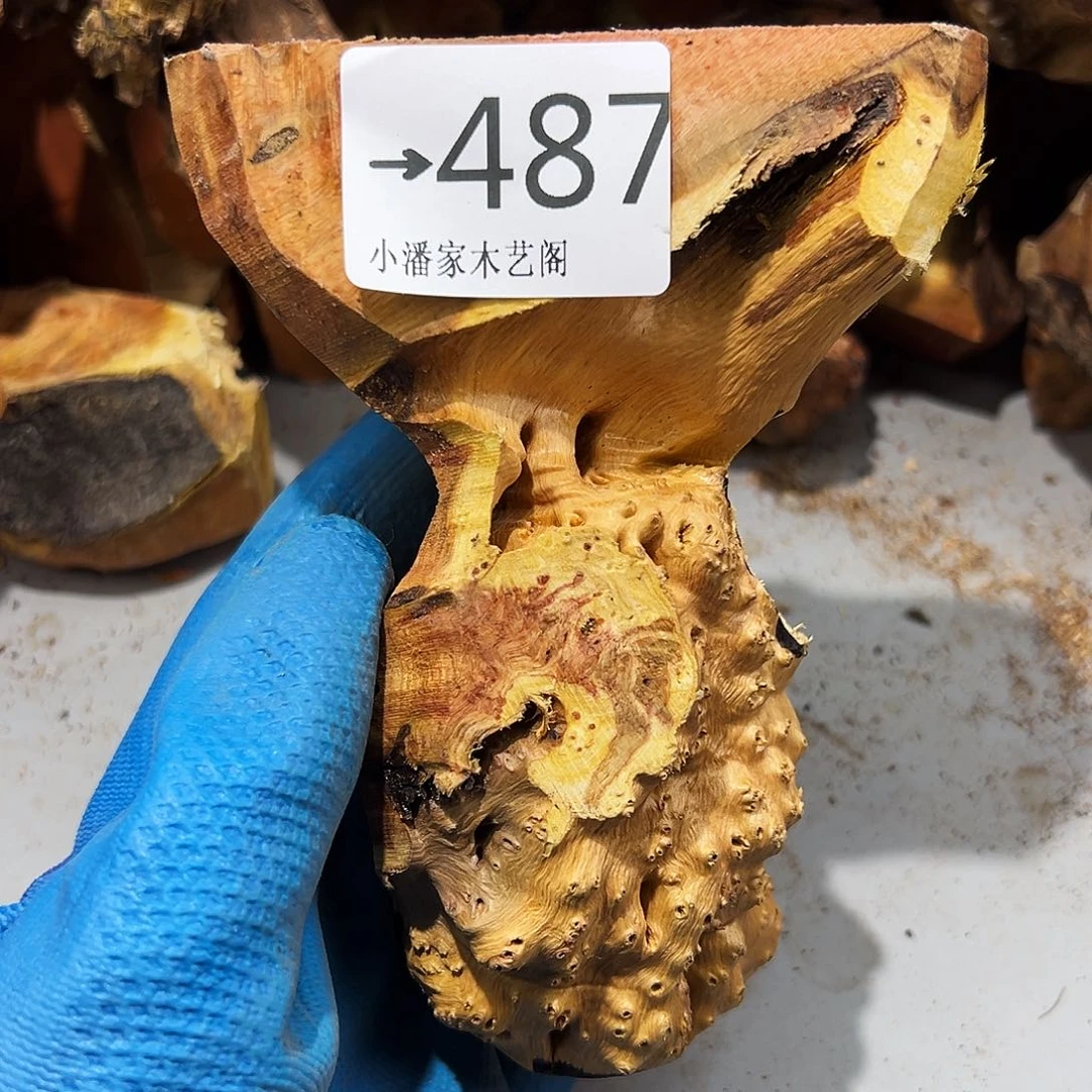手***7火琉璃……火琉璃……火琉璃