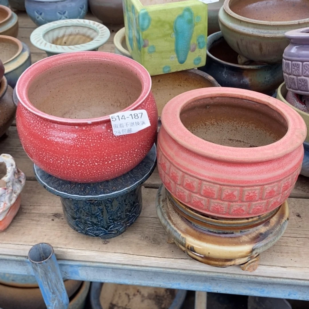 静****9187号多肉盆两个呀