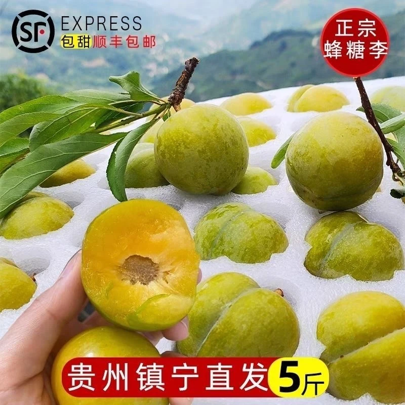 贵州正宗六马冰脆蜂糖李新鲜应季水果脆甜爽多汁5斤装顺丰包邮