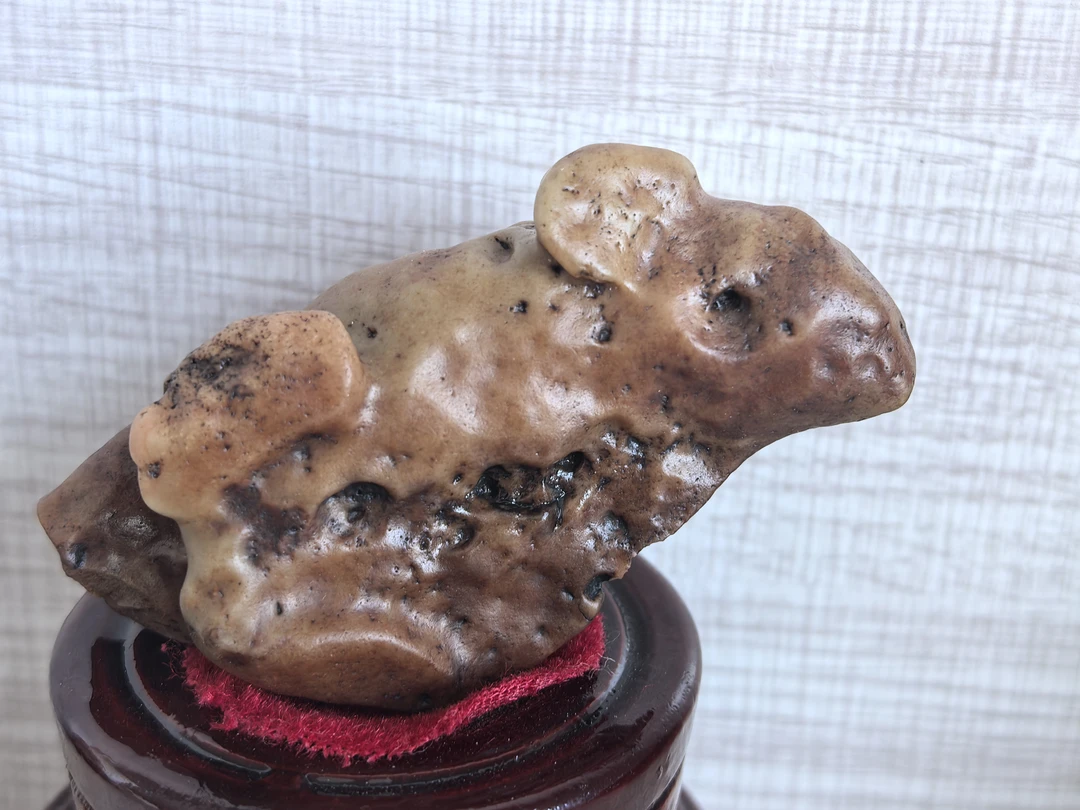 阿拉善戈壁石，  他也是象形石像个小老鼠连接专用