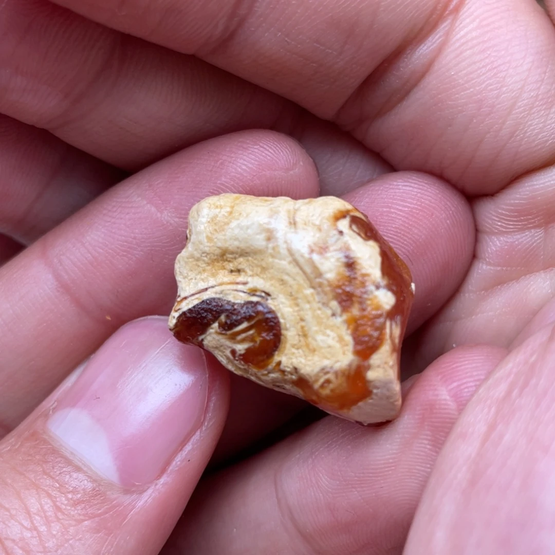 定制琥珀未镶嵌天然蜜蜡