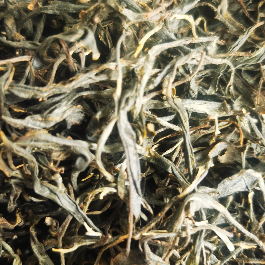 【村长严选1】2025兰桂花香单株云南普洱茶 散茶