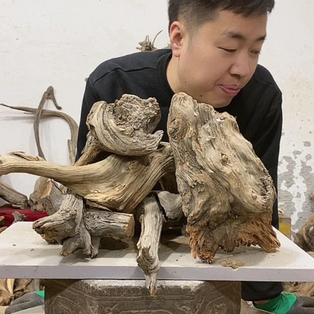【闪购商品】柏木木****店我们都是好孩子