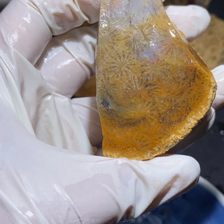 【闪购商品】未镶嵌珊瑚玉硅化玉