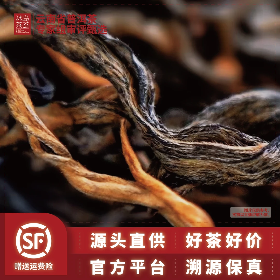编码399-1/2025年-邦木后山-500—600年古树春茶-荒野晒红散茶