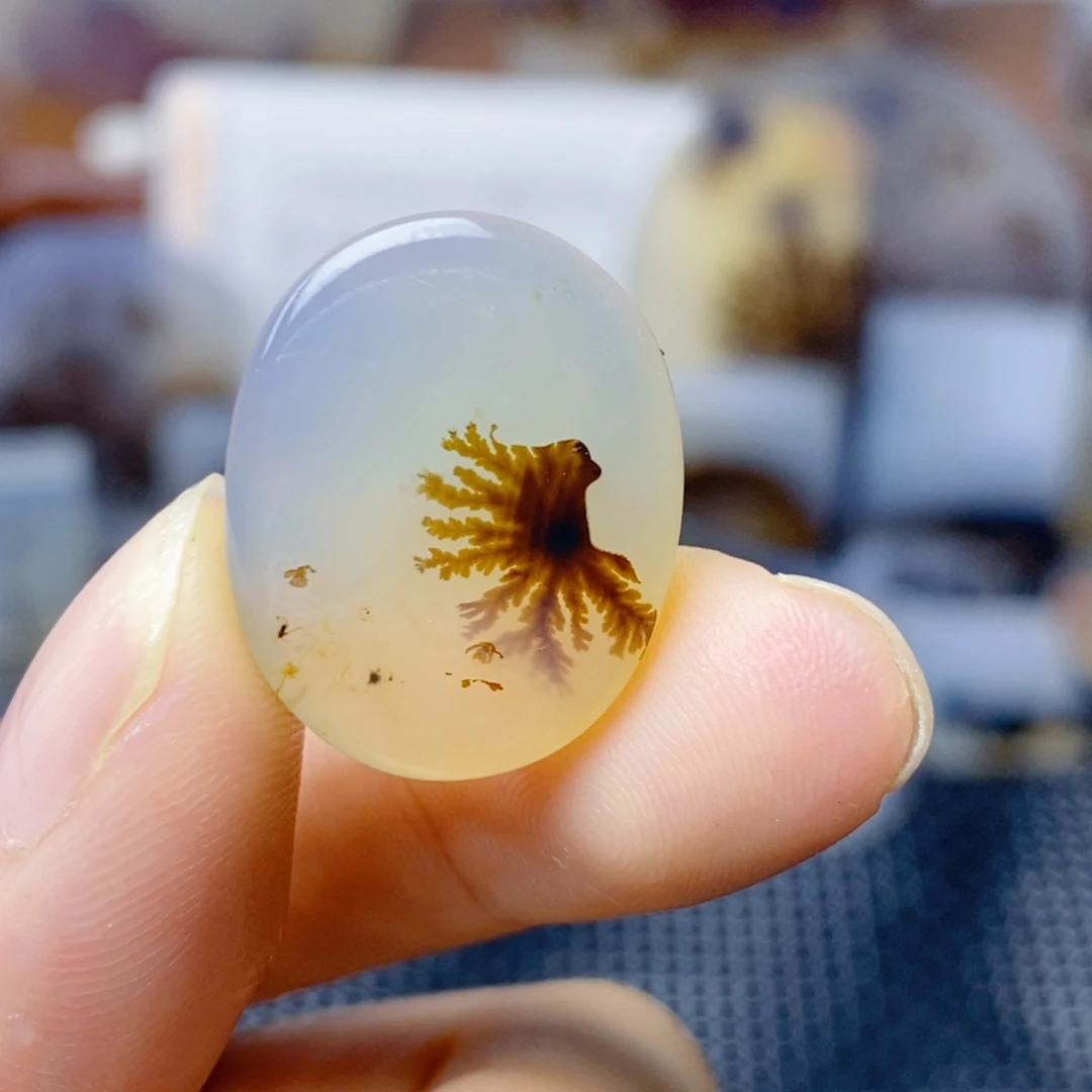 玛瑙/玉髓未镶嵌珠宝奇石