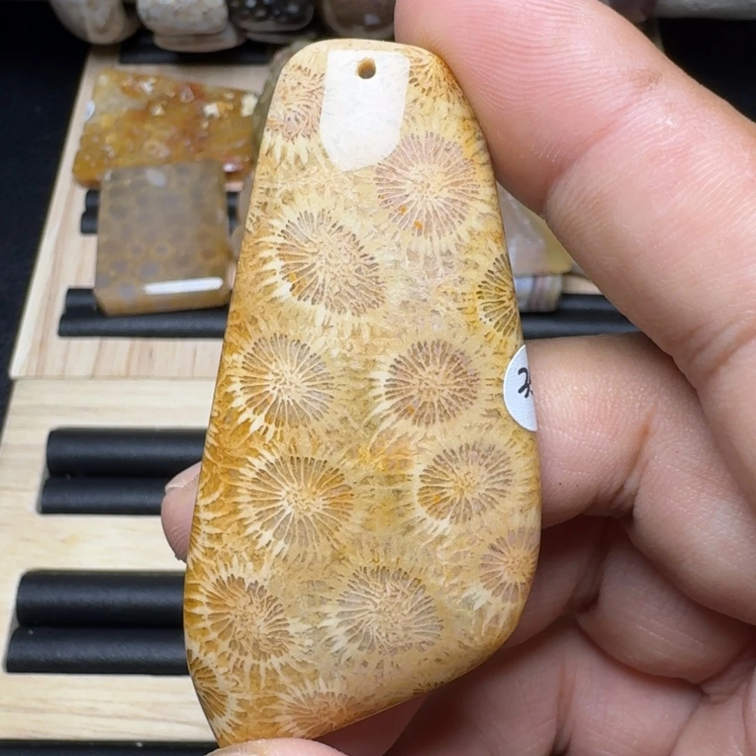 未镶嵌纯天然色有机玉石保真色硅化玉
