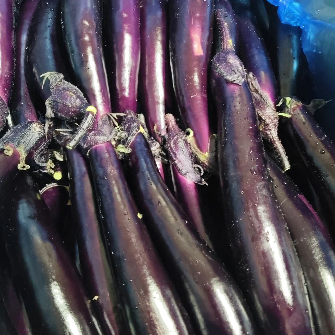 当地紫根茄子2斤