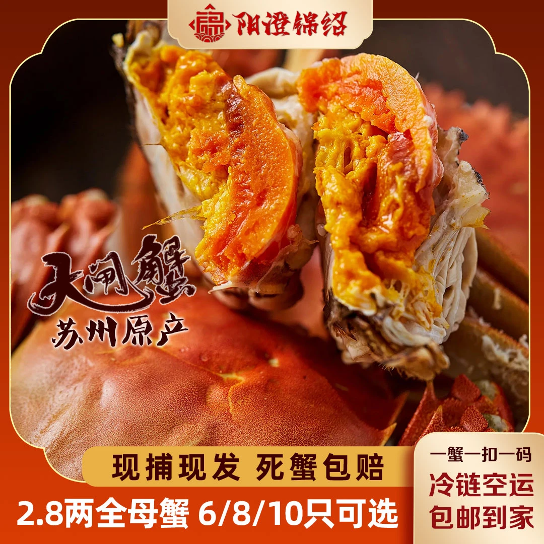 【活蟹】大闸蟹母蟹2.8两6只/8只10只盒装苏州精品蟹国庆中秋礼包邮