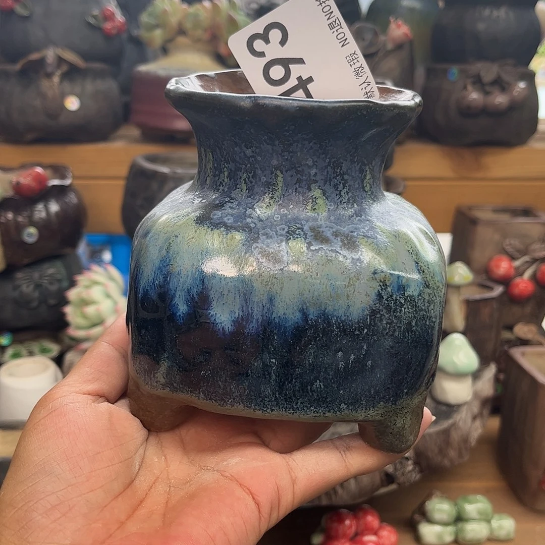 好看好看视频在线观看啦……哈哈真的493