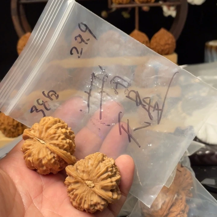 天***星把件桃核白狮子核桃