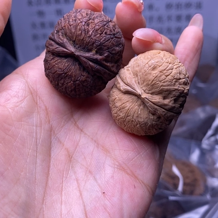 核桃云南野生铁核桃22号33mm