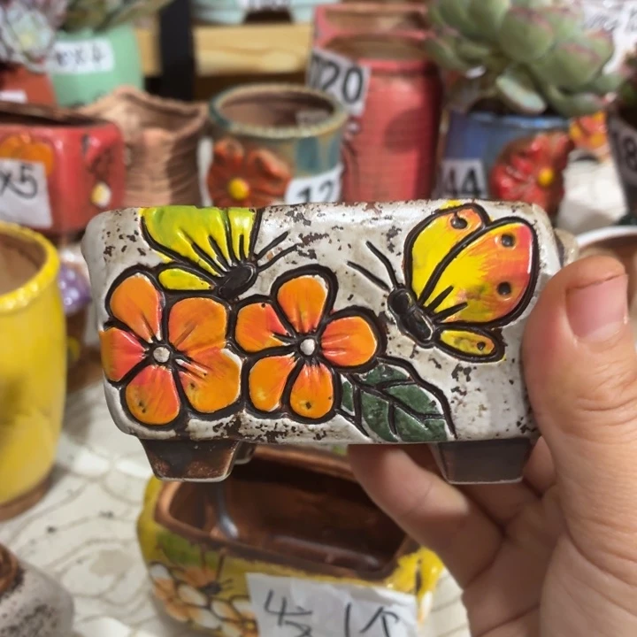 多肉花盆满15包邮