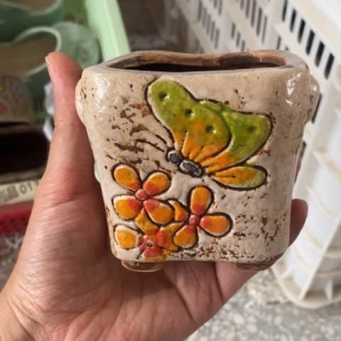 【闪购商品】      孤品