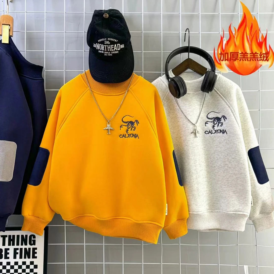 （加厚羔羔绒）男童卫衣秋冬款加绒新款2025男孩上衣中大童学生儿童