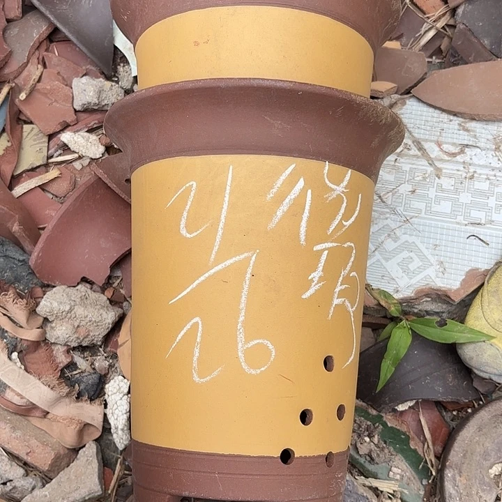 紫泥花盆紫砂花盆