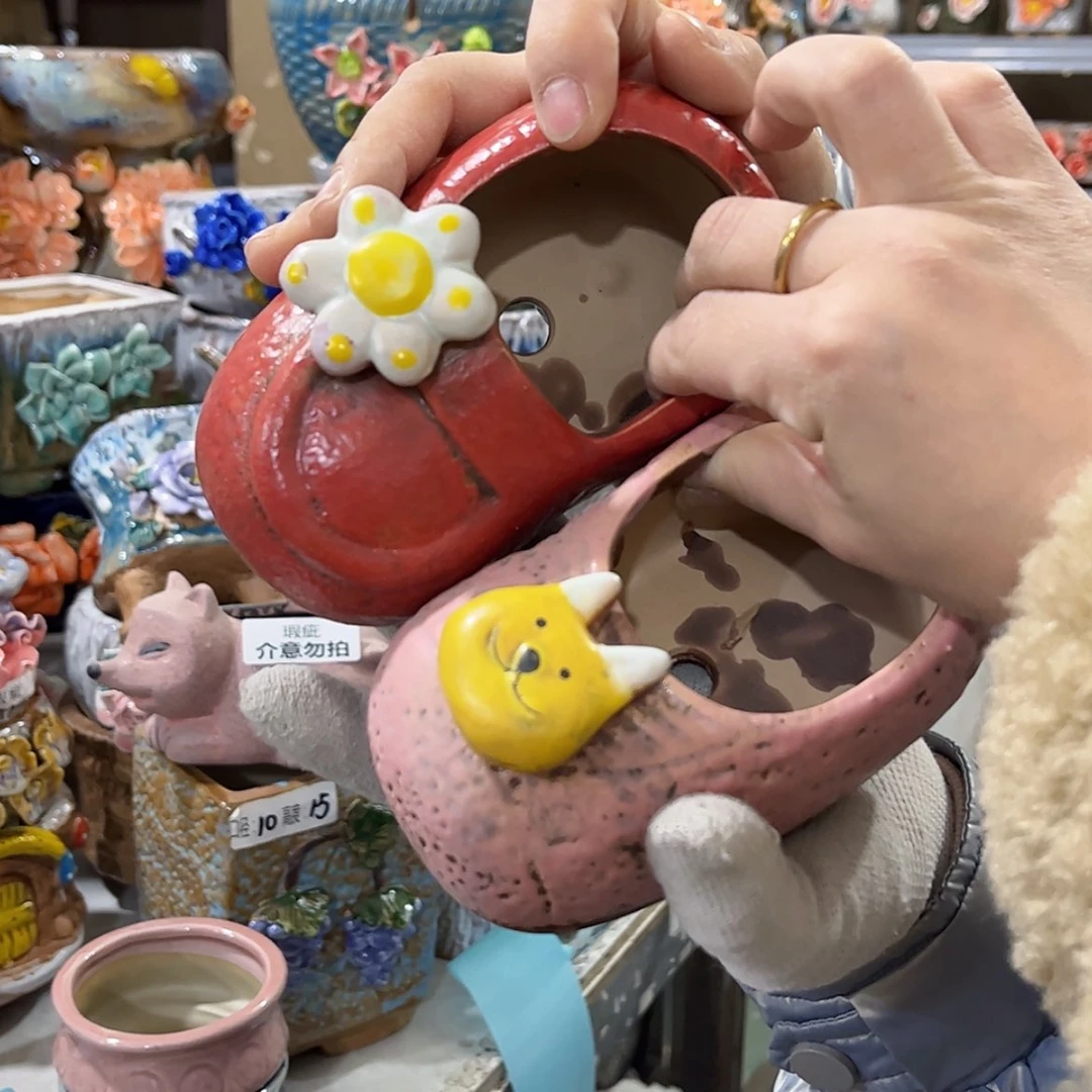 【闪购商品】红陶福利