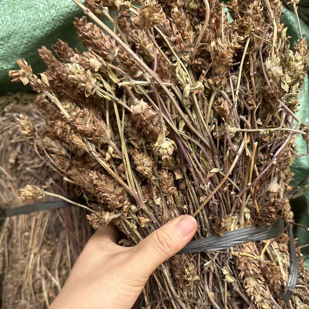 广西山货夏枯草整株 干品夏枯草